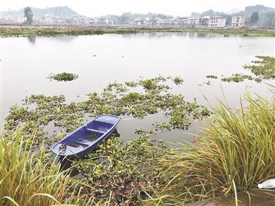 网站建设,网站建设公司,成都网站建设 网站建设,网站建设公司,成都网站建设